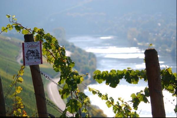 Wein- und Gästehaus Genetsch Lieser Exterior foto