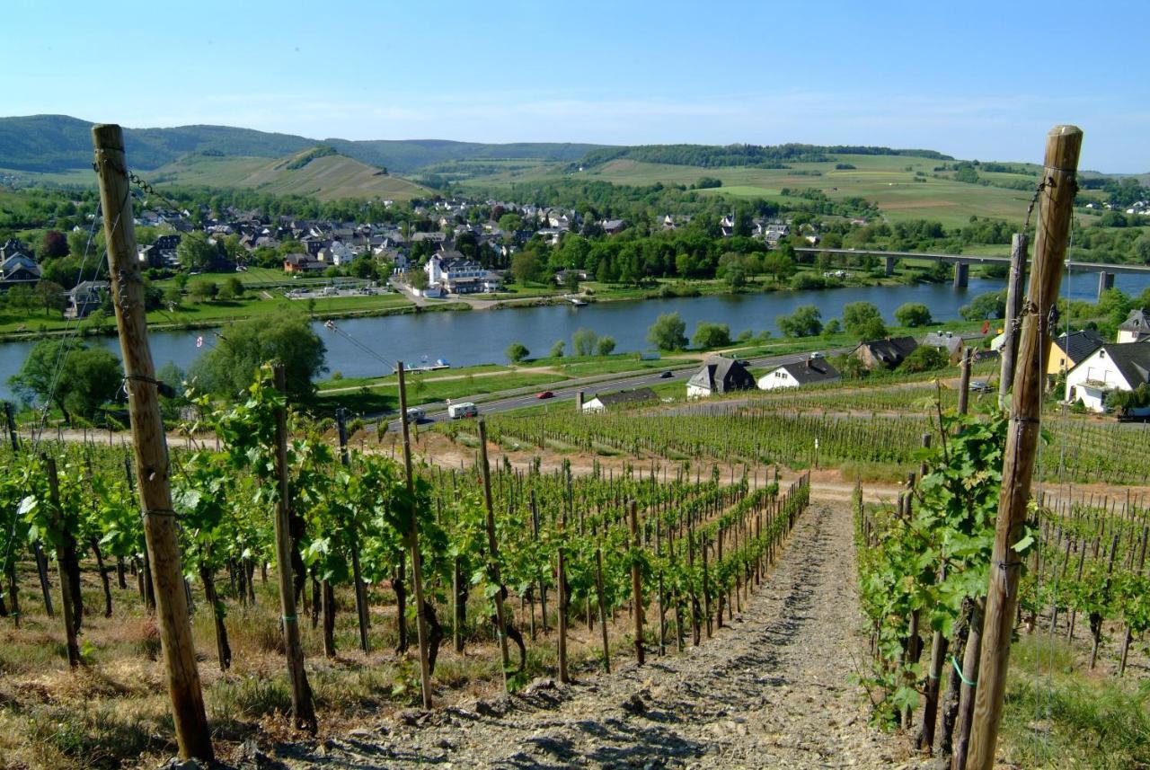 Wein- und Gästehaus Genetsch Lieser Exterior foto