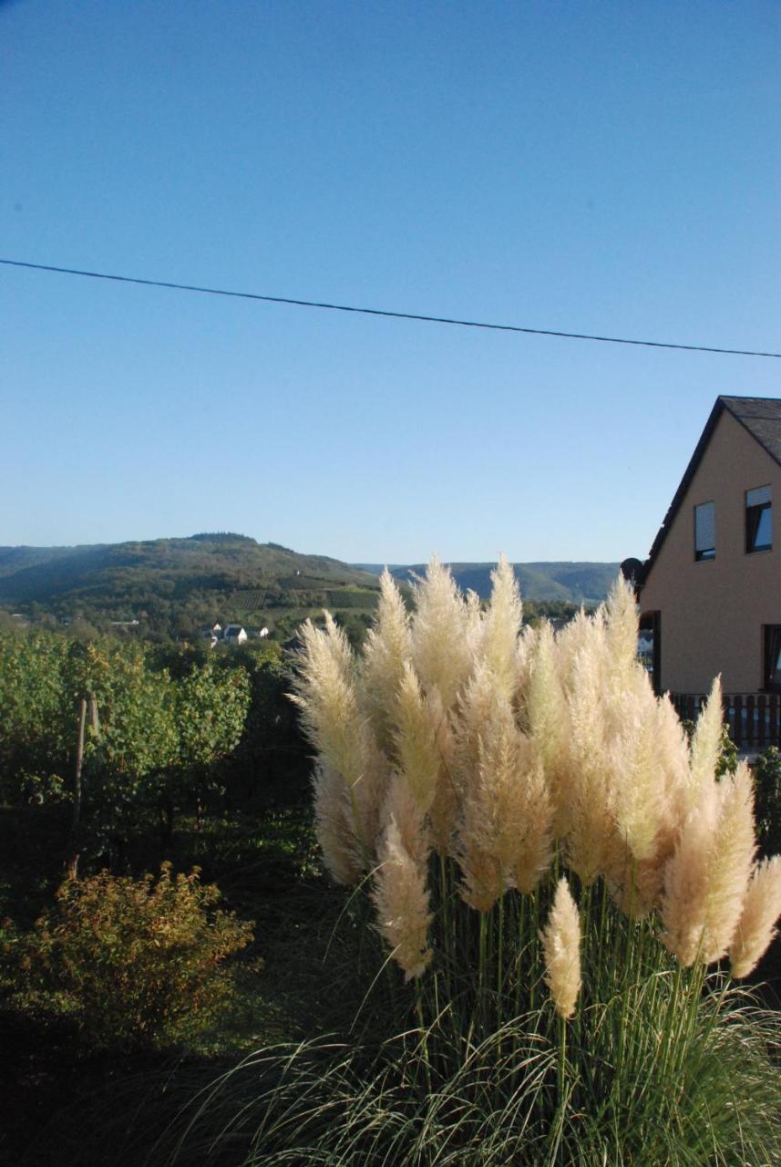 Wein- und Gästehaus Genetsch Lieser Exterior foto