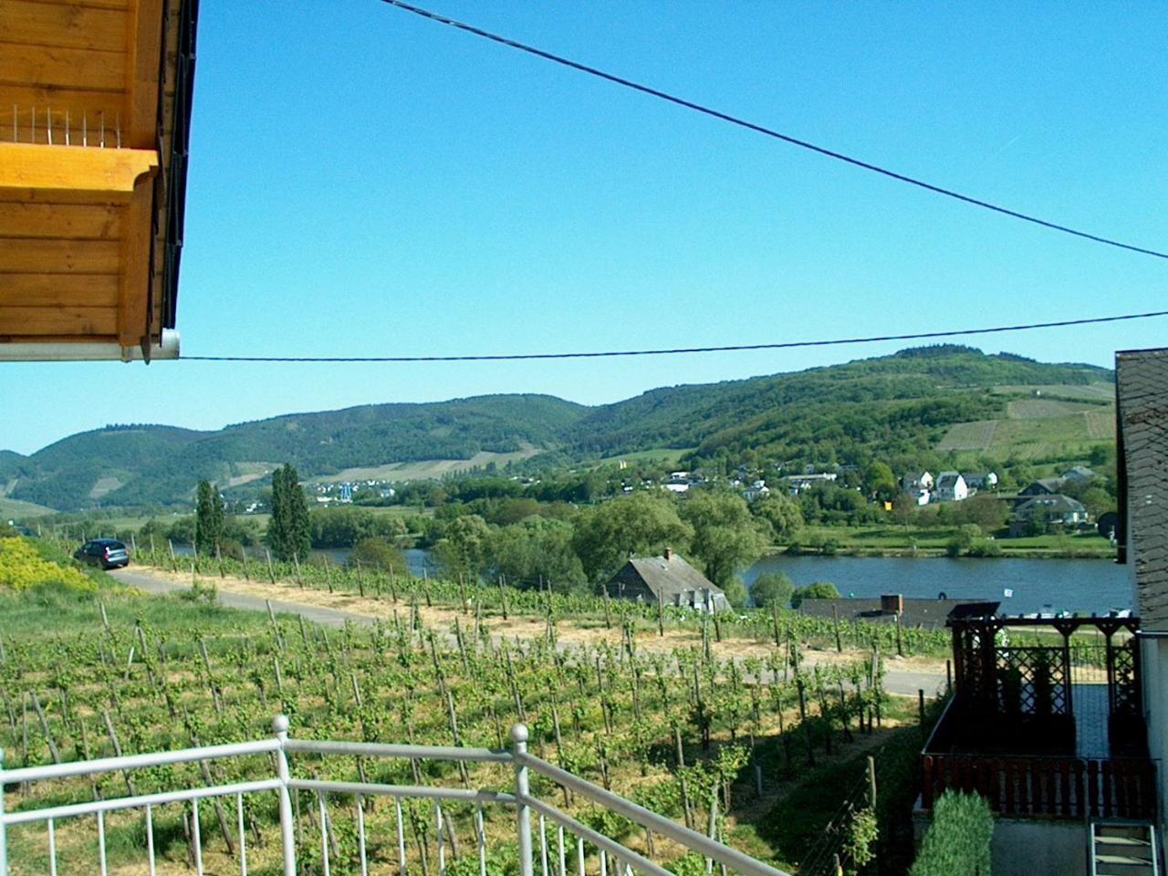 Wein- und Gästehaus Genetsch Lieser Exterior foto