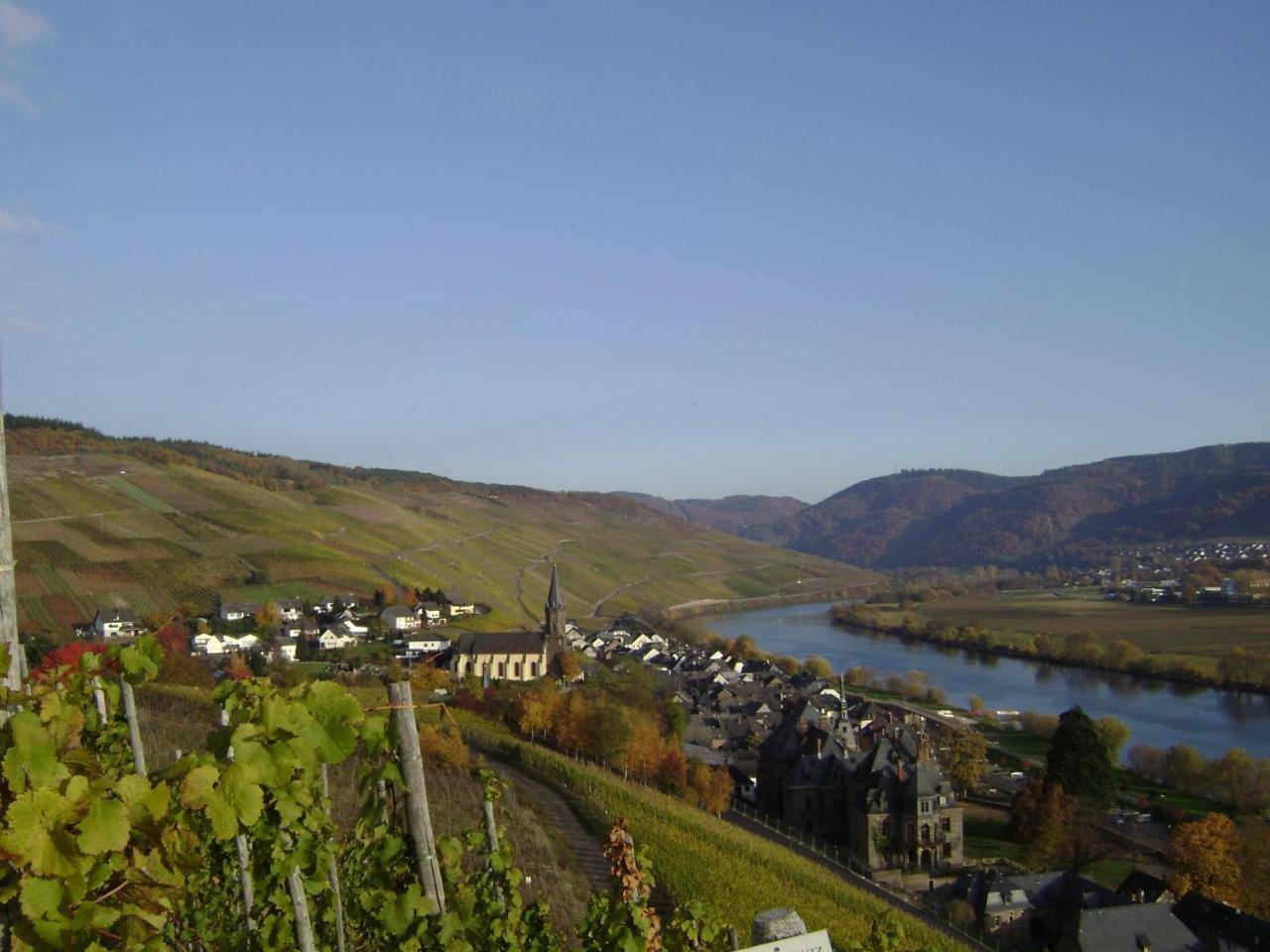 Wein- und Gästehaus Genetsch Lieser Exterior foto