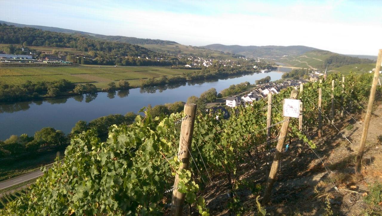 Wein- und Gästehaus Genetsch Lieser Exterior foto
